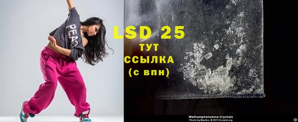 дмт Краснослободск