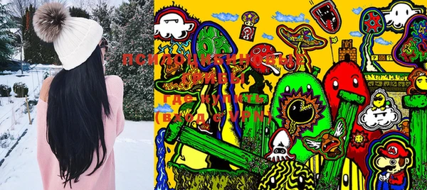 apvp Краснотурьинск