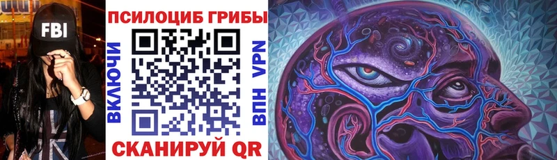 Галлюциногенные грибы Psilocybe  Купить  Монино 